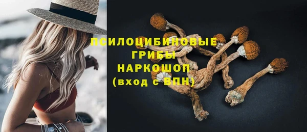 прущие крисы Беломорск
