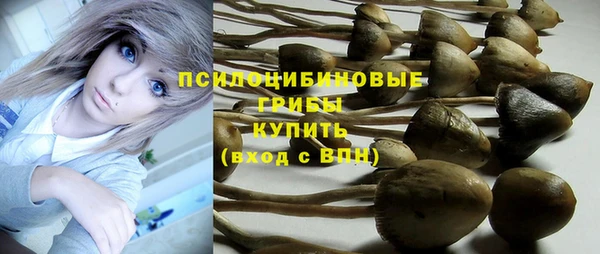 прущие крисы Беломорск