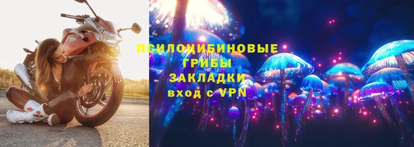 кокаин Белокуриха
