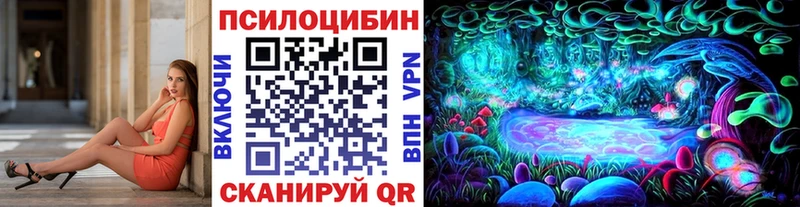 купить наркоту  блэк спрут   Галлюциногенные грибы прущие грибы  Гай 