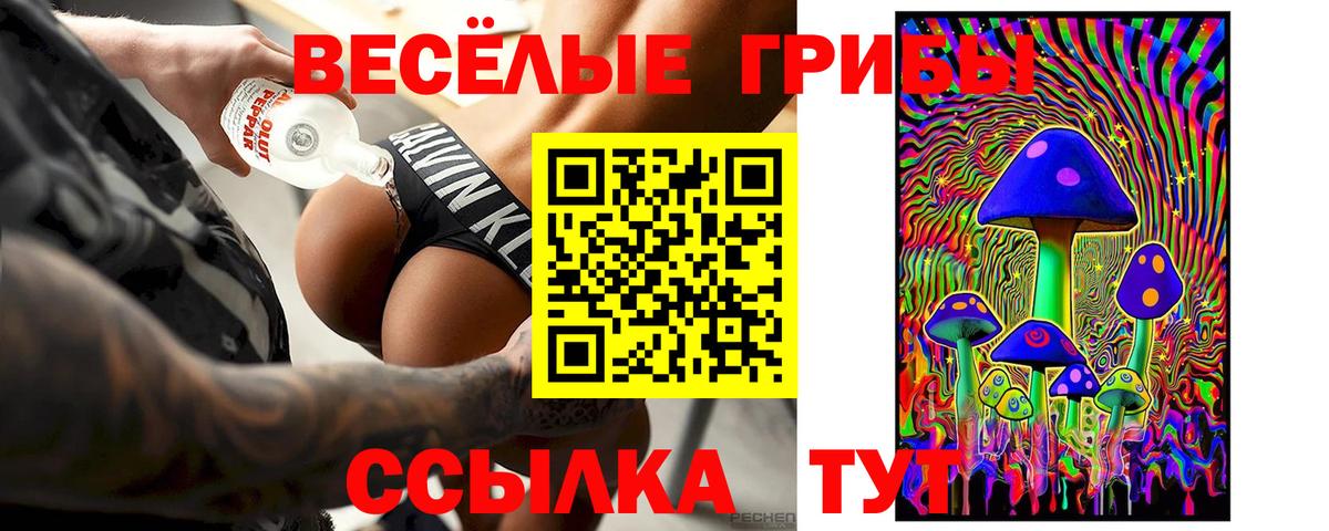 Галлюциногенные грибы ЛСД Гай