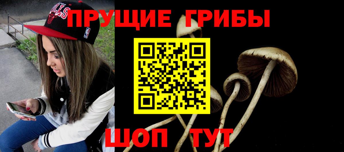 Галлюциногенные грибы MAGIC MUSHROOMS  Вход с VPN  Гай  Галлюциногенные грибы Cubensis 